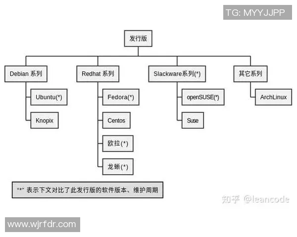 赛后分析：北京乒乓球队与成都乒乓球队个人能力对比探讨